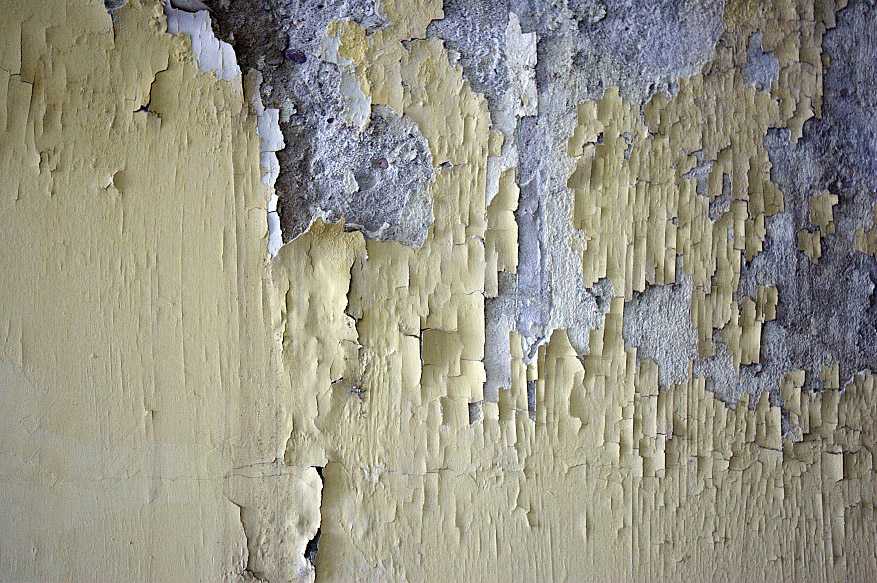 كيفية علاج رطوبة الجدران دليلك لمختلف أنواع الرطوبة في المنازل كماشة