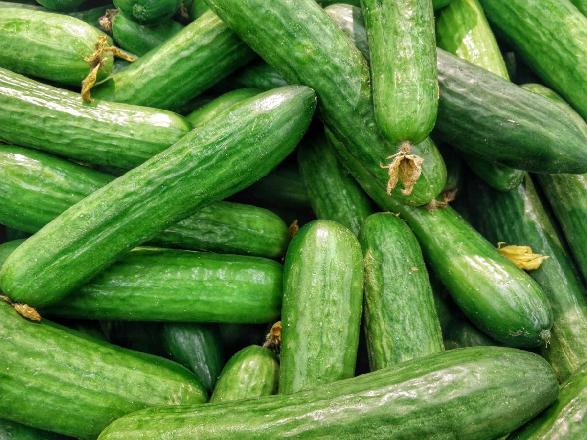الخيار
