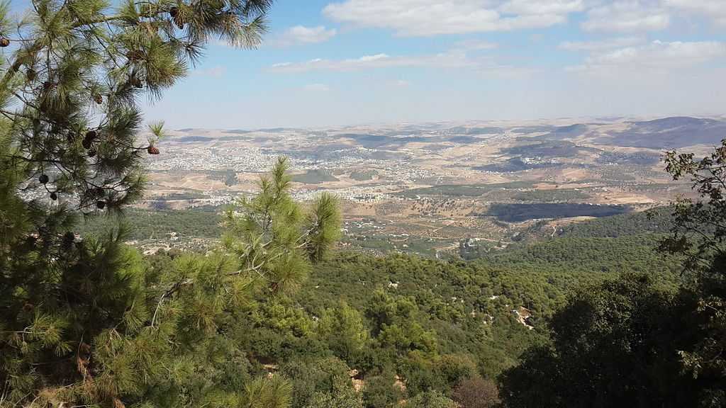 غابات دبين