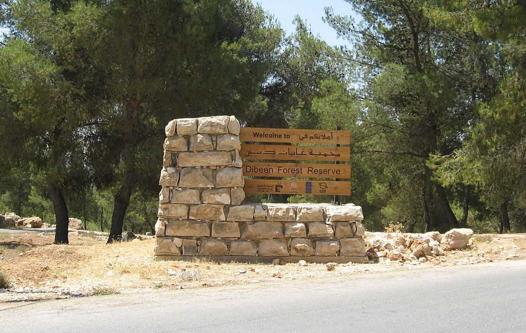غابات دبين