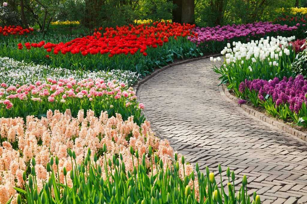 أفكار ممرات حدائق منزلية